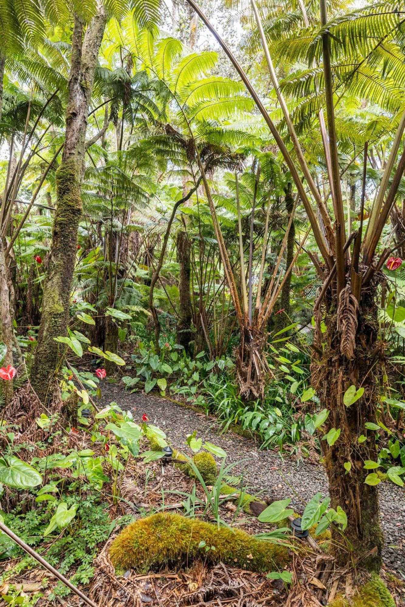Pahoehoe- Hale Kumu La'Au At Волкано Экстерьер фото